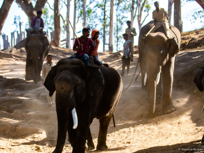 India III Gallery 18 – In Contact with Indian Elephants