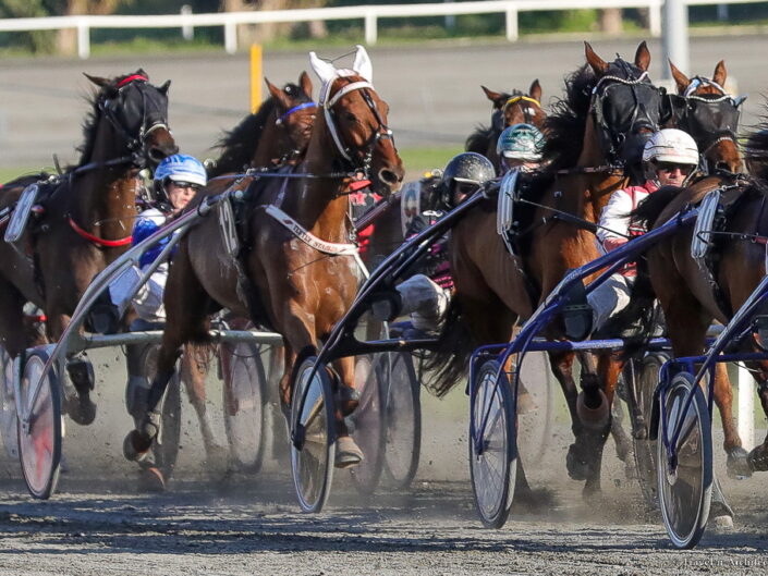 Malta III-Horse Racing Club Marsa